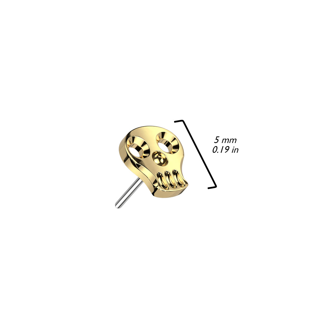 Hollow Skull | Titanium Threadless Top For Nose, Ears & Lip - Avanti Body Jewelry