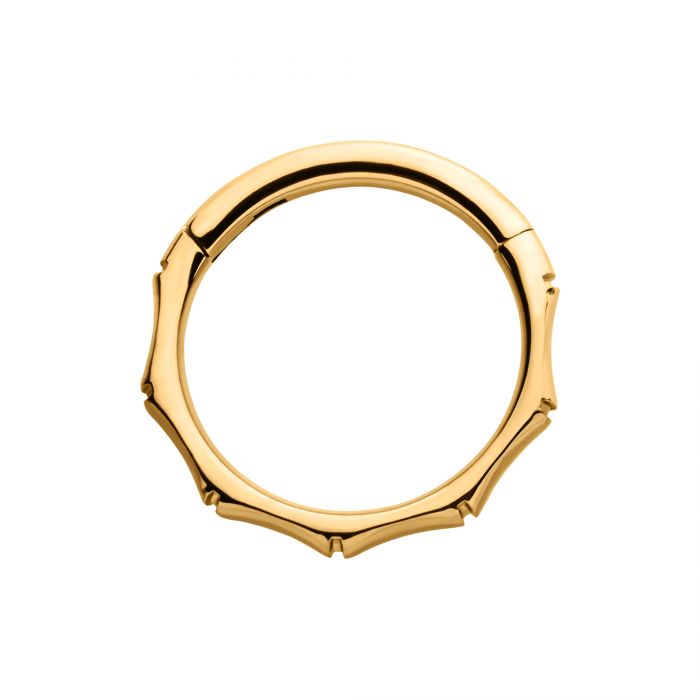 Hinged Ring Bamboo Design Side Facing | Titanium Clicker Segment Hoop Ring - Avanti Body Jewelry