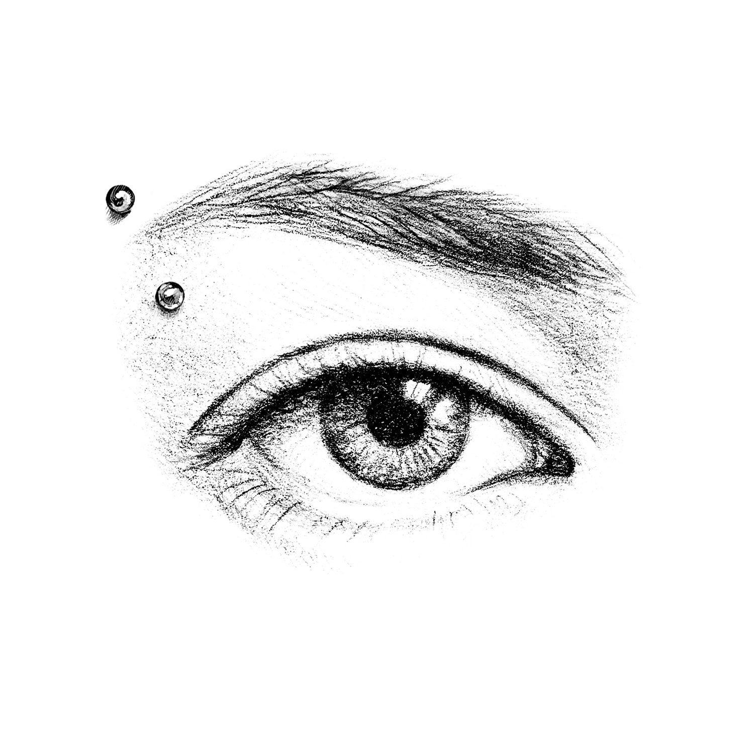 Face | Eyebrow