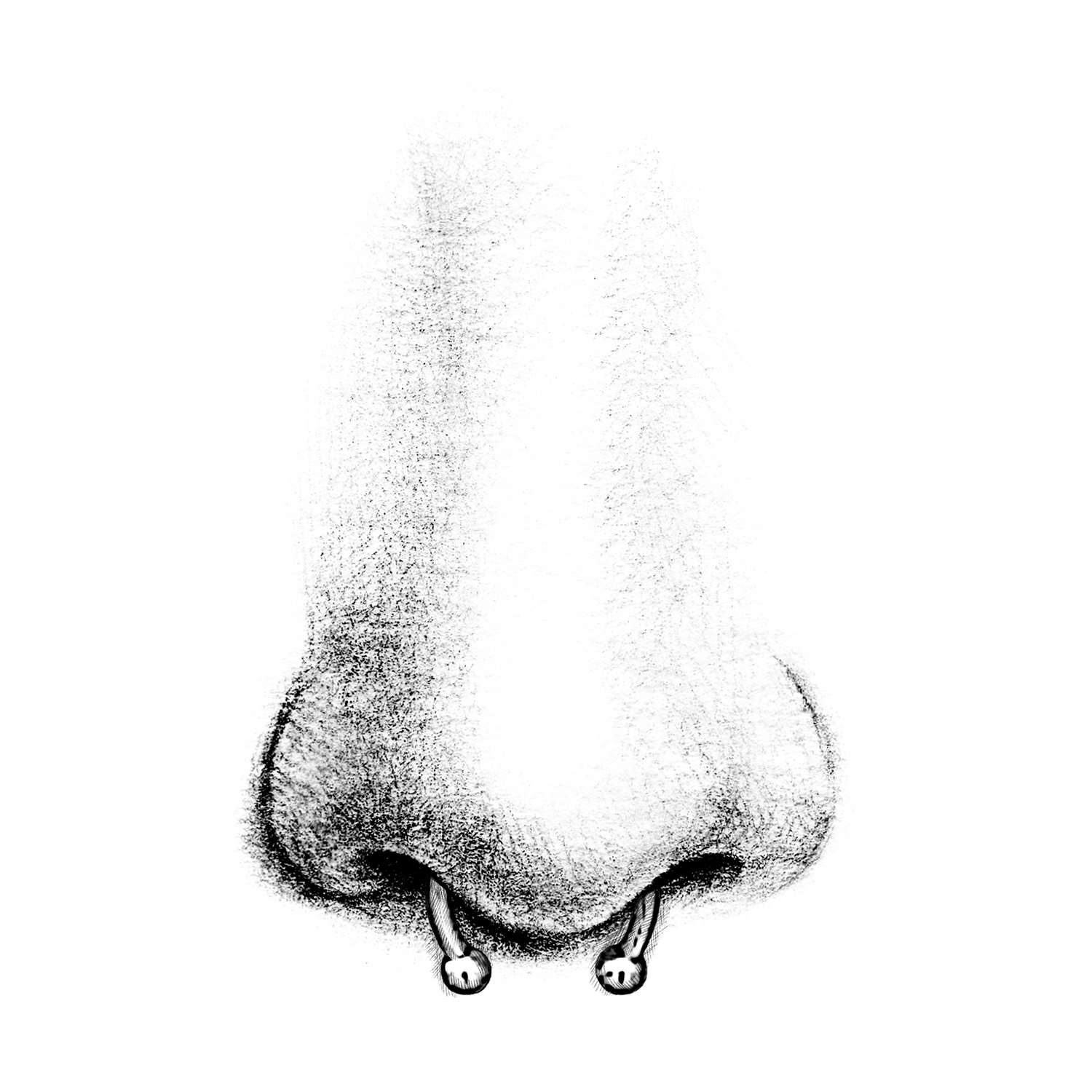 Face | Septum