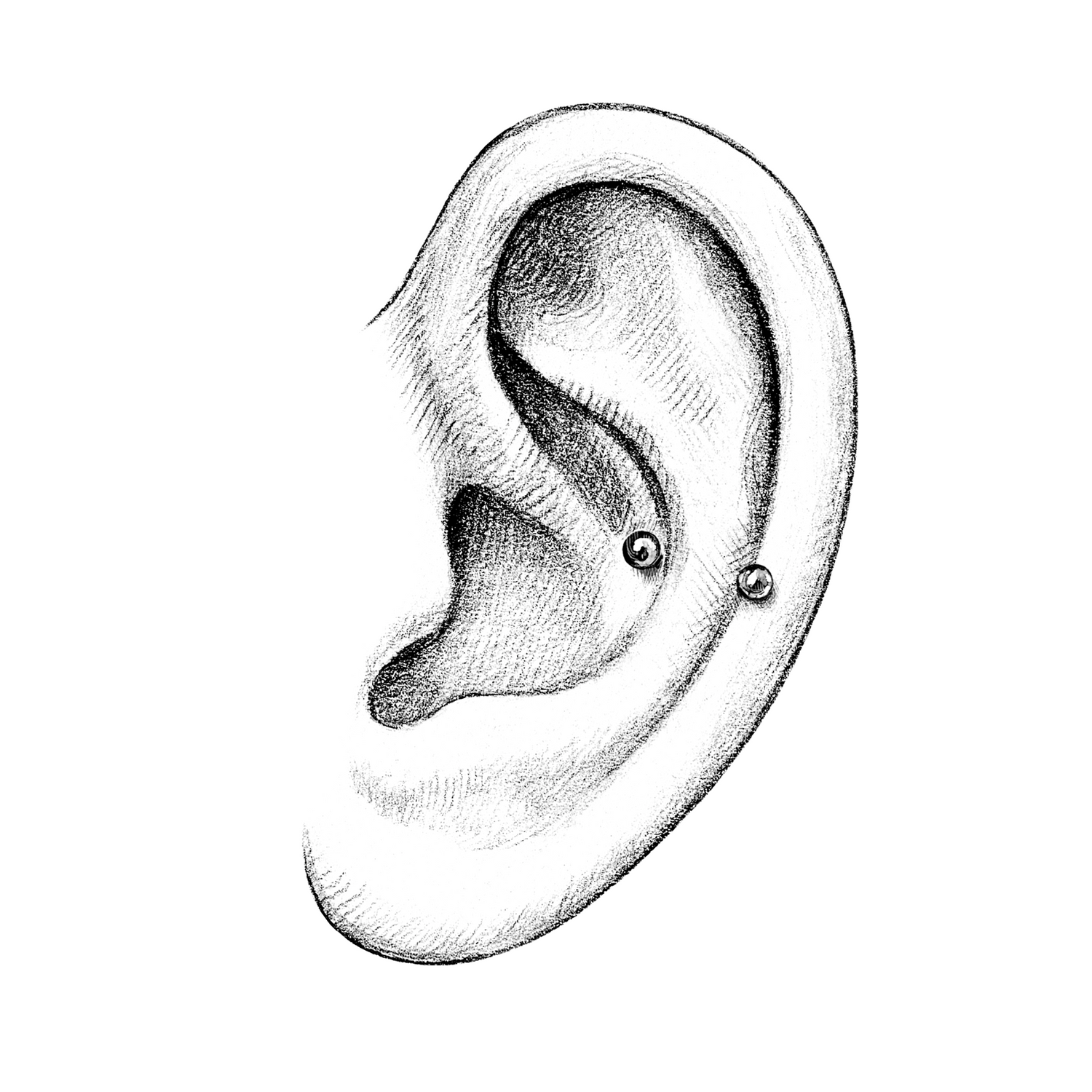 Ears | Snug