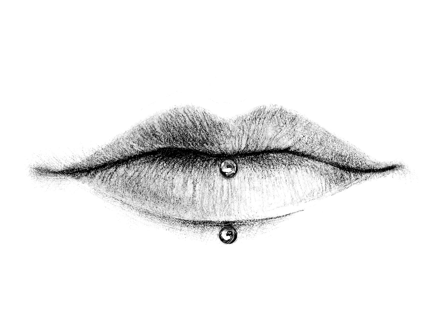 Face | Vertical Labret