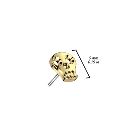 Hollow Skull | Titanium Threadless Top For Nose, Ears & Lip - Avanti Body Jewelry