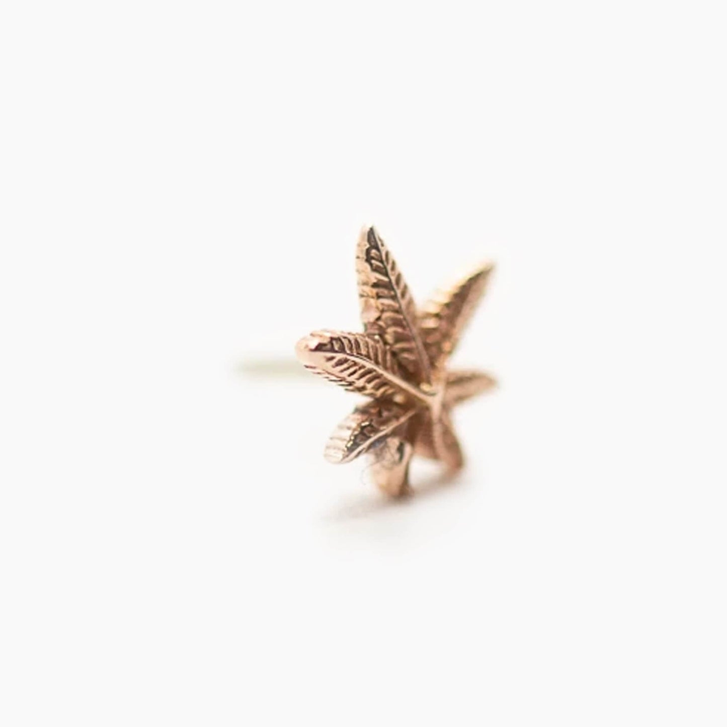 Marijuana Leaf | 14K Threadless Top For Nose, Ears & Lip - Avanti Body Jewelry