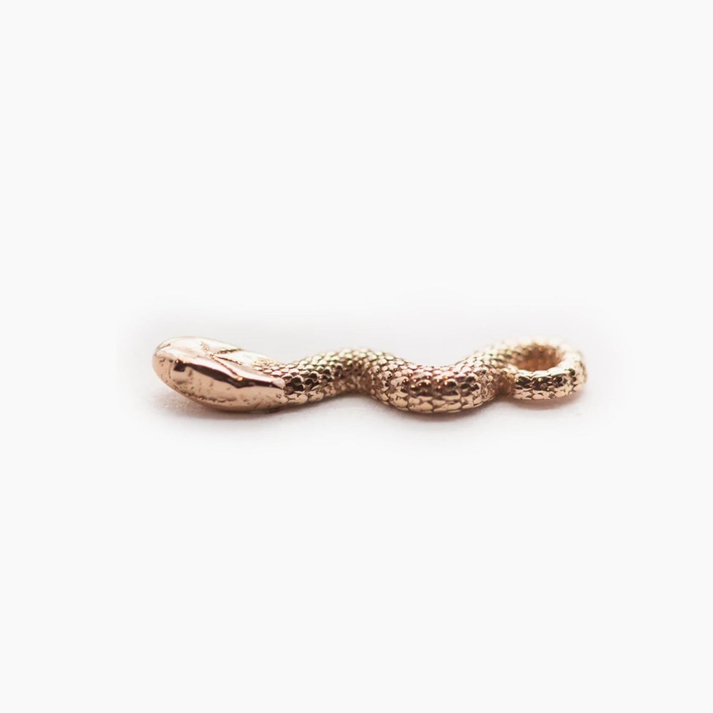 Threadless 14k Gold Snake Ends For Nose, Ears & Lip - Avanti Body Jewelry