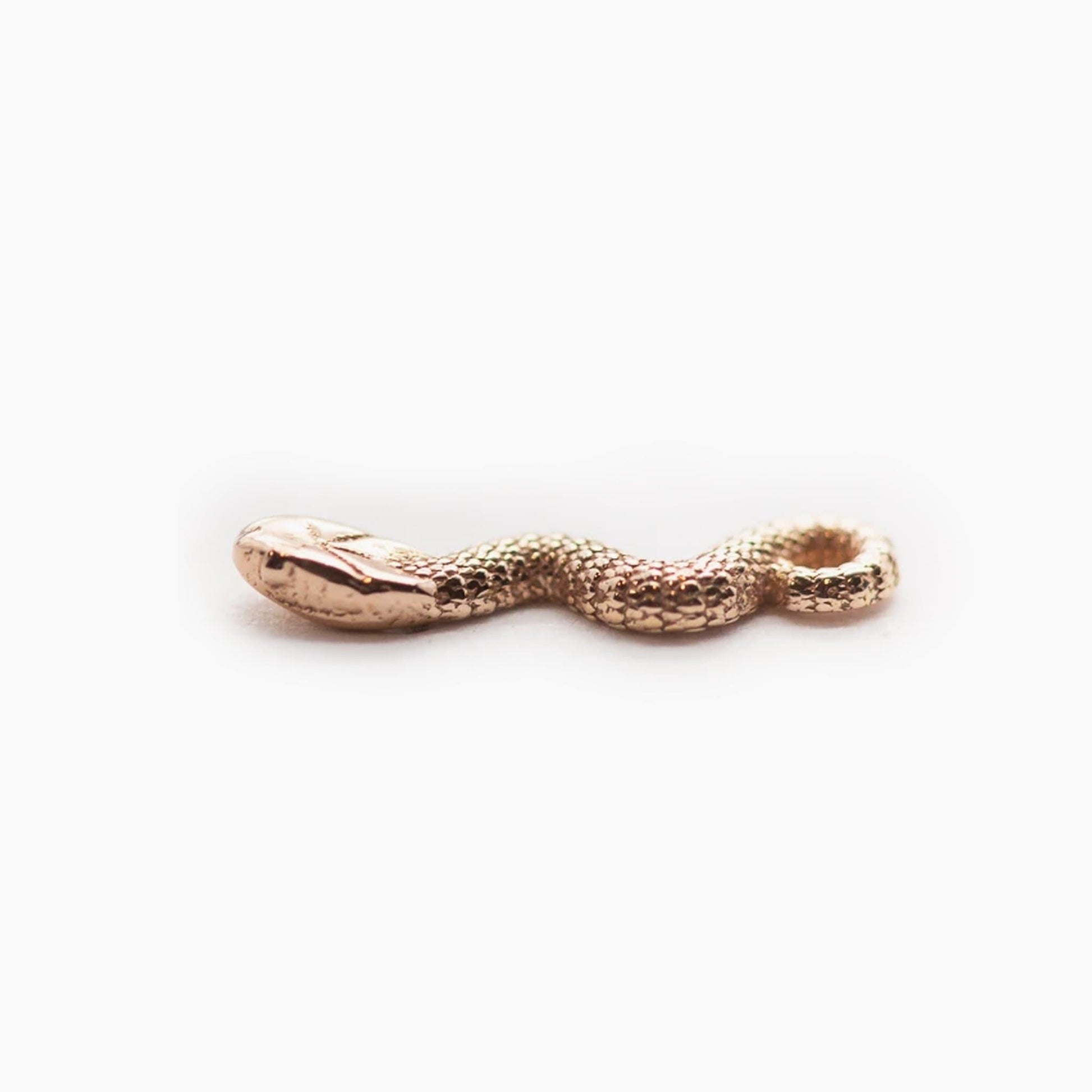 Threadless 14k Gold Snake Ends For Nose, Ears & Lip - Avanti Body Jewelry