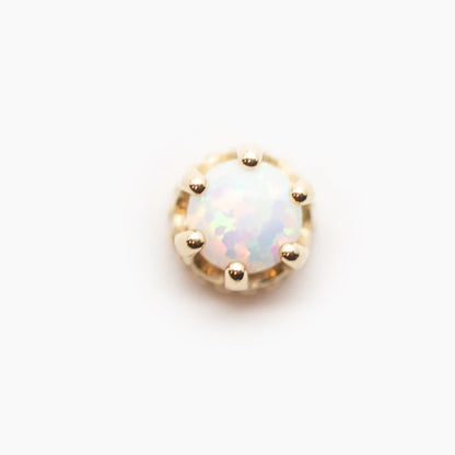 Crown | 14K Threadless Top | Yellow Gold For Nose, Ears & Lip - Avanti Body Jewelry