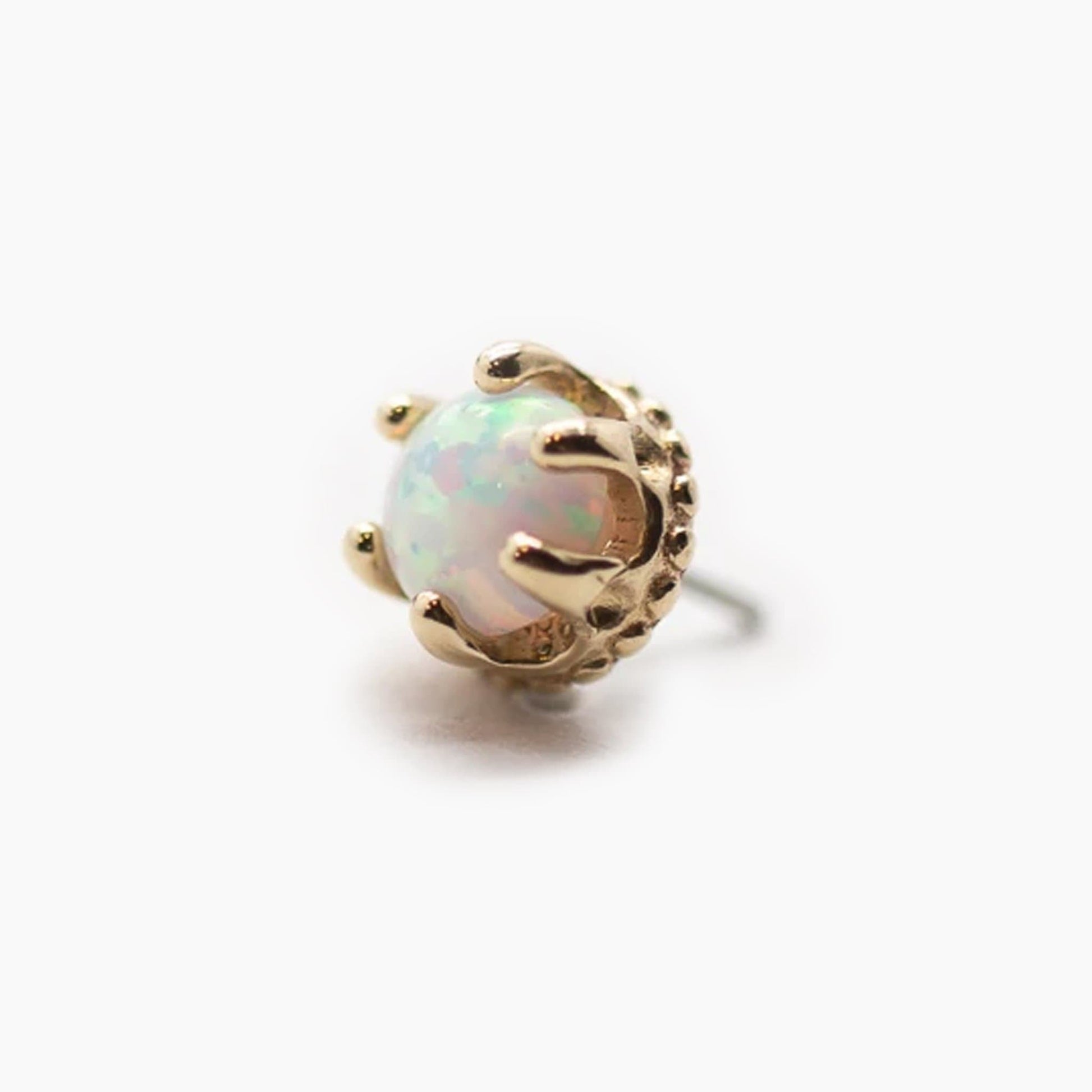 Crown | 14K Threadless Top | Yellow Gold For Nose, Ears & Lip - Avanti Body Jewelry