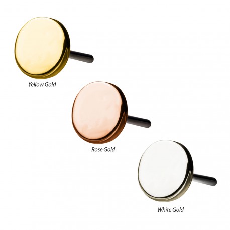 Flat Disc | 14K Threadless Top For Nose, Ears & Lip - Avanti Body Jewelry