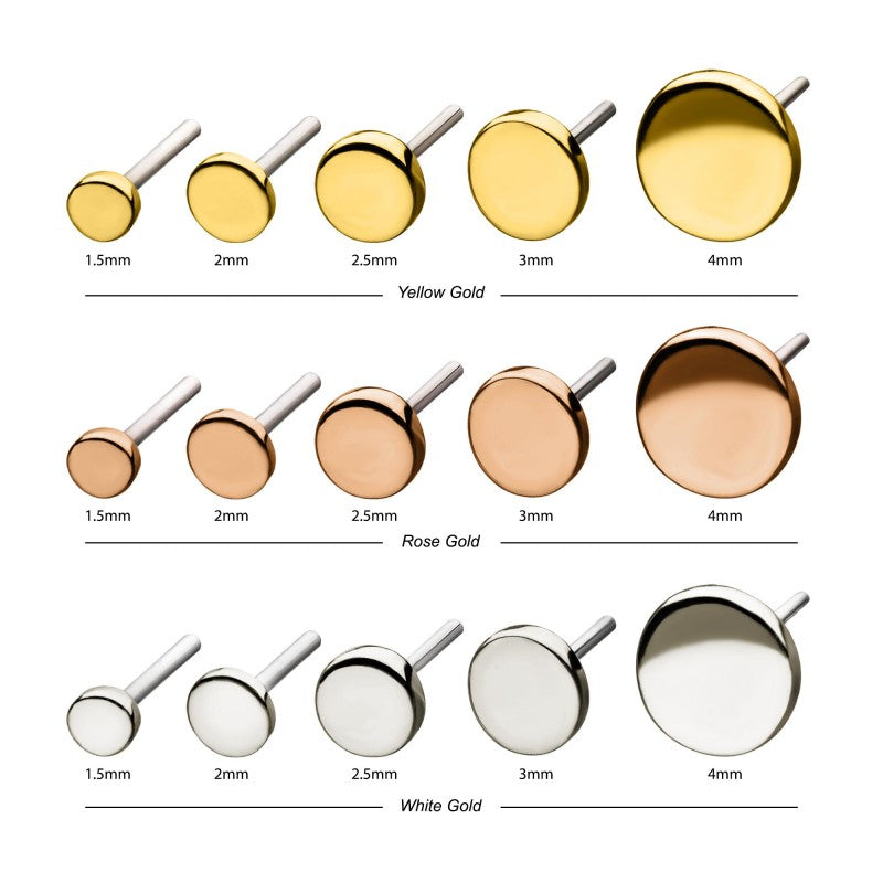 Flat Disc | 14K Threadless Top For Nose, Ears & Lip - Avanti Body Jewelry