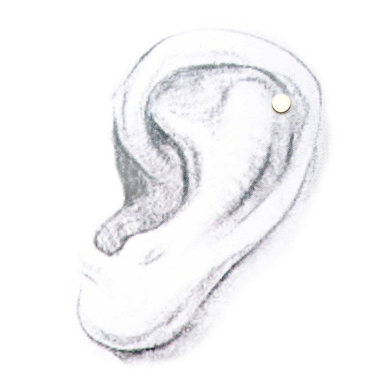 Flat Disc | 14K Threadless Top For Nose, Ears & Lip - Avanti Body Jewelry