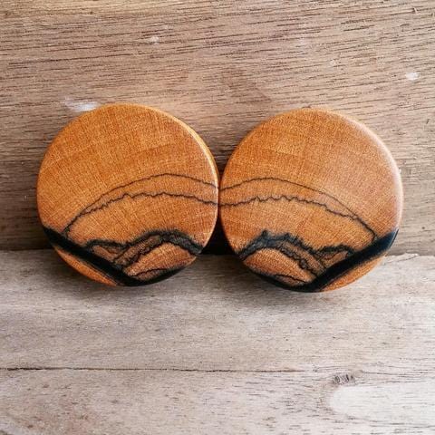 OMW | Tiger Ebony Solid Plugs - Avanti Body Jewelry