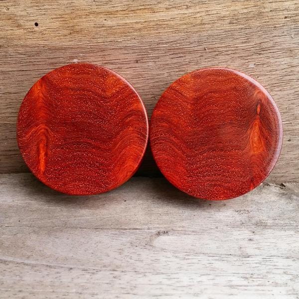 OMW | Simple Wood Plug Pair - Avanti Body Jewelry