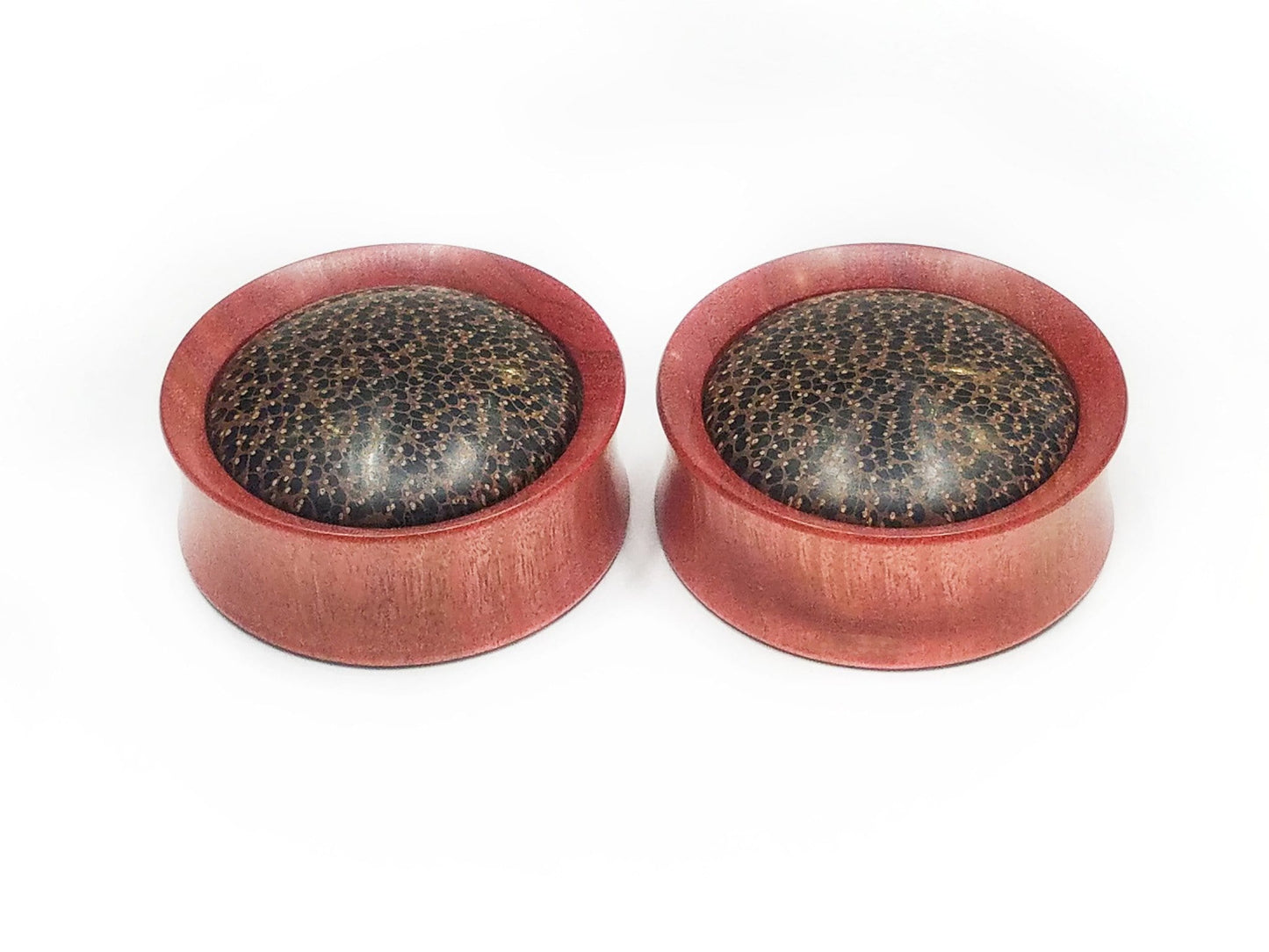 OMW | Convex Wood Inlay Plug Pair - Avanti Body Jewelry