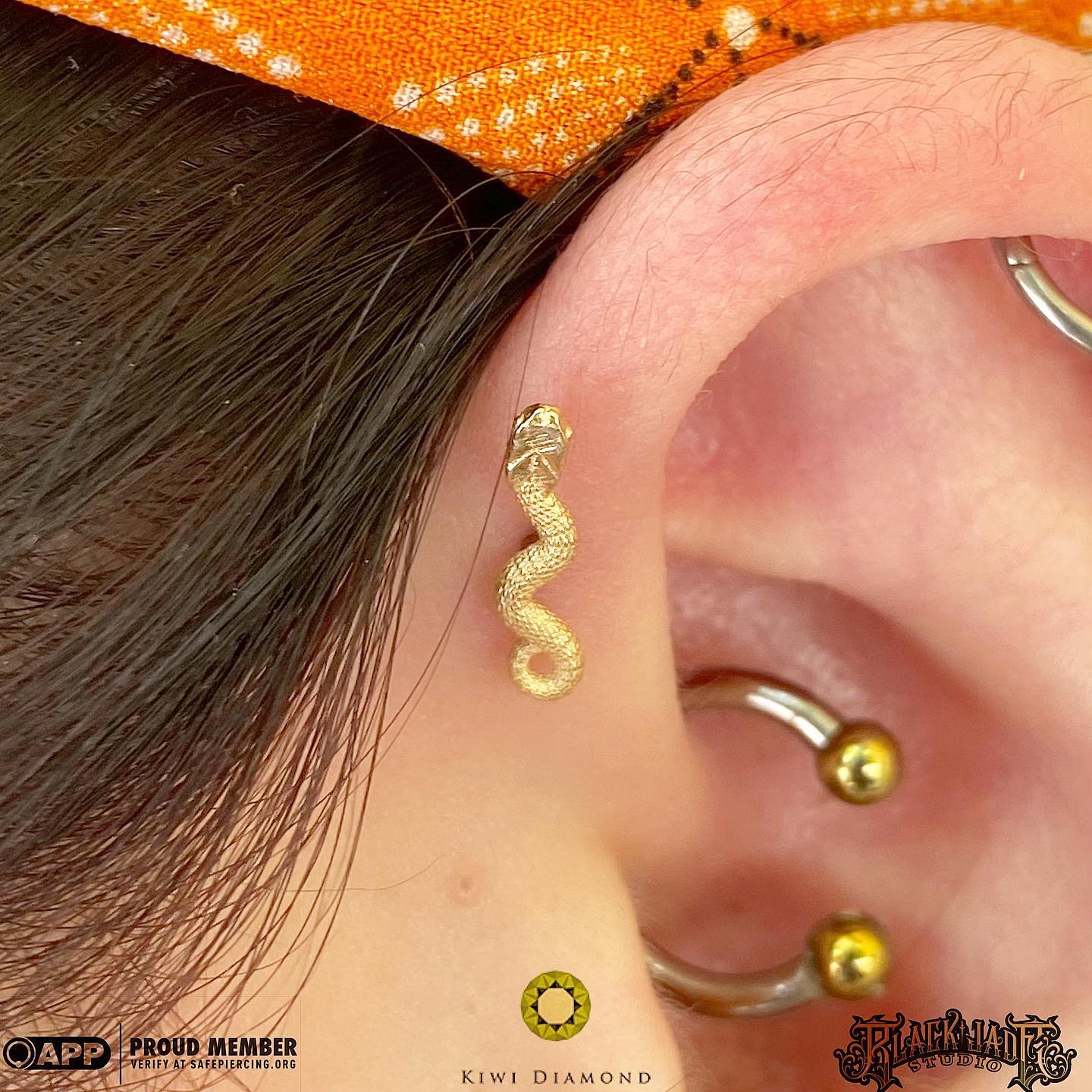 Threadless 14k Gold Snake Ends For Nose, Ears & Lip - Avanti Body Jewelry