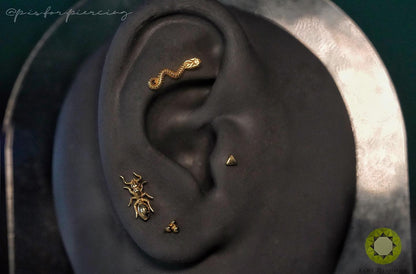Threadless 14k Gold Snake Ends For Nose, Ears & Lip - Avanti Body Jewelry