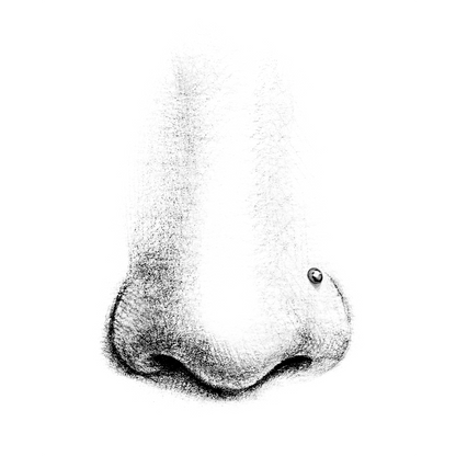 *Base / Post For Threadless Jewelry For Nose, Ears & Lip - Avanti Body Jewelry