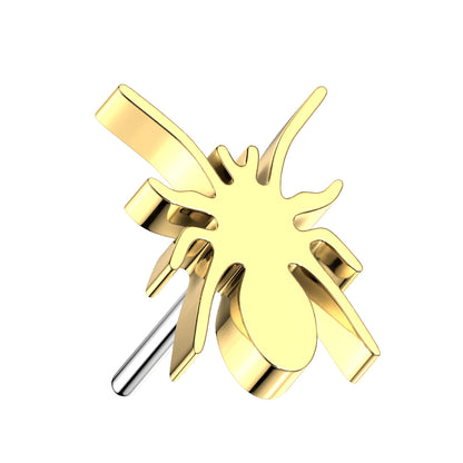 Sacred Spider | Titanium Threadless Top For Nose, Ears & Lip - Avanti Body Jewelry