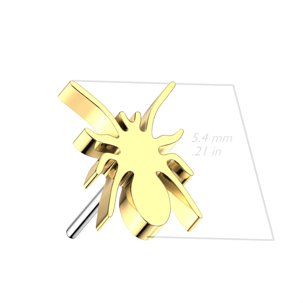Sacred Spider | Titanium Threadless Top For Nose, Ears & Lip - Avanti Body Jewelry