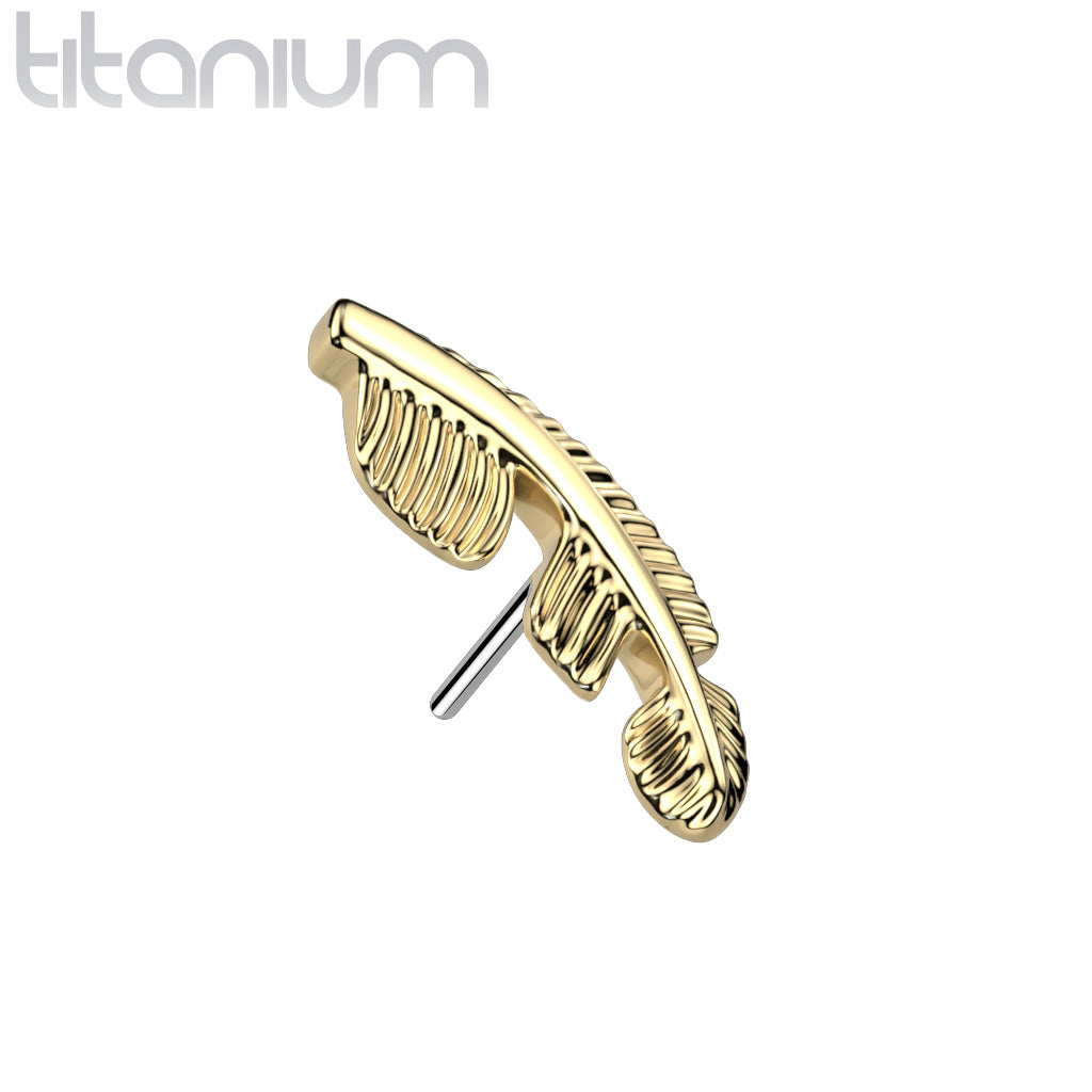 Feather | Titanium Threadless Top For Nose, Ears & Lip - Avanti Body Jewelry