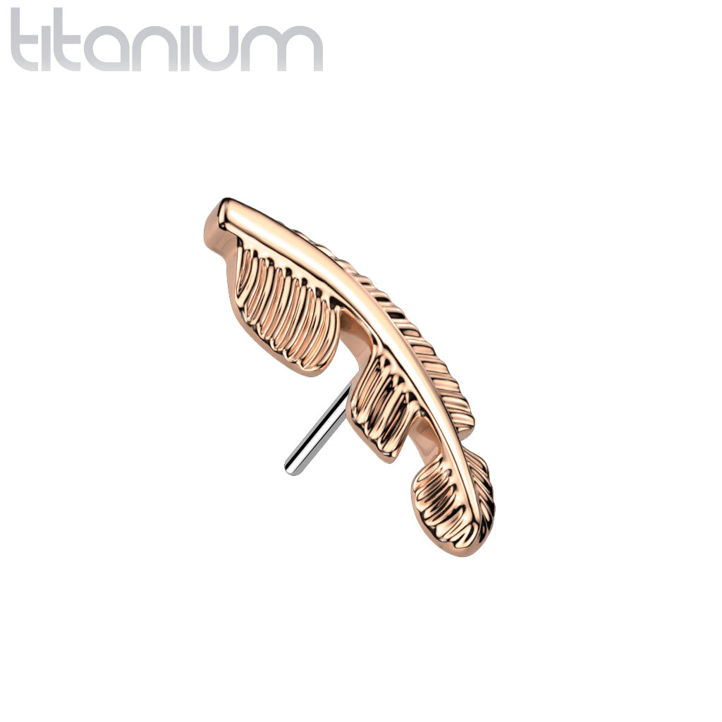 Feather | Titanium Threadless Top For Nose, Ears & Lip - Avanti Body Jewelry