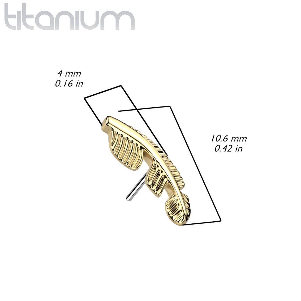 Feather | Titanium Threadless Top For Nose, Ears & Lip - Avanti Body Jewelry