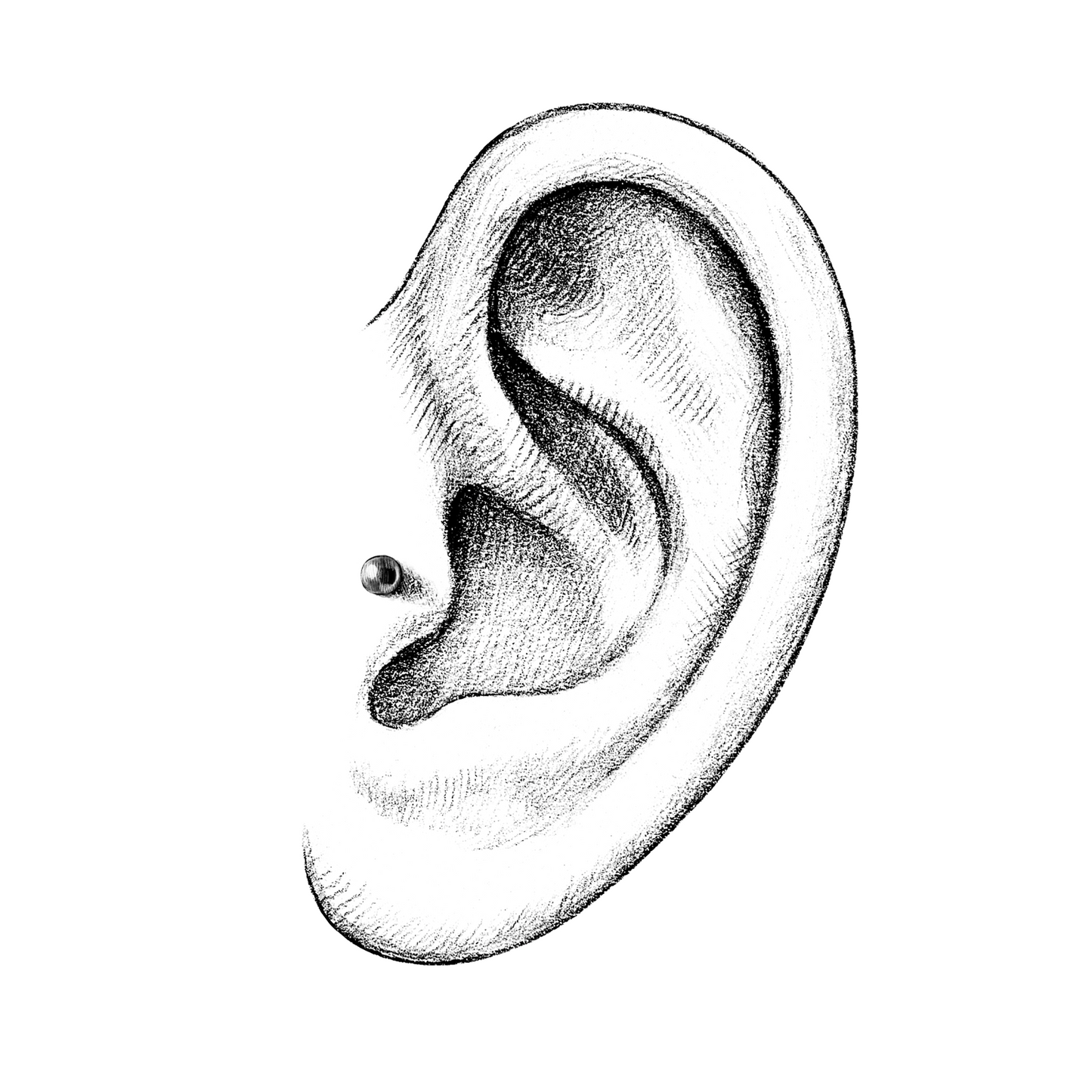 *Base / Post For Threadless Jewelry For Nose, Ears & Lip - Avanti Body Jewelry