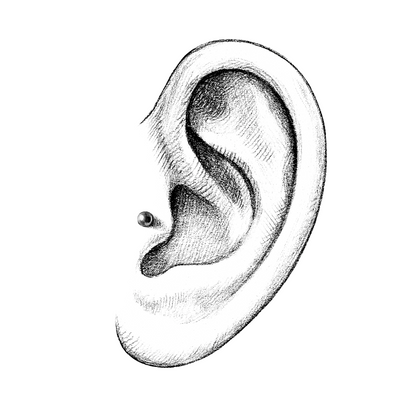 *Base / Post For Threadless Jewelry For Nose, Ears & Lip - Avanti Body Jewelry