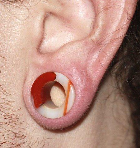 Stone Plugs | Red Agate Double Flare Eyelets - Avanti Body Jewelry
