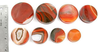 Stone Plugs | Red Agate - Avanti Body Jewelry