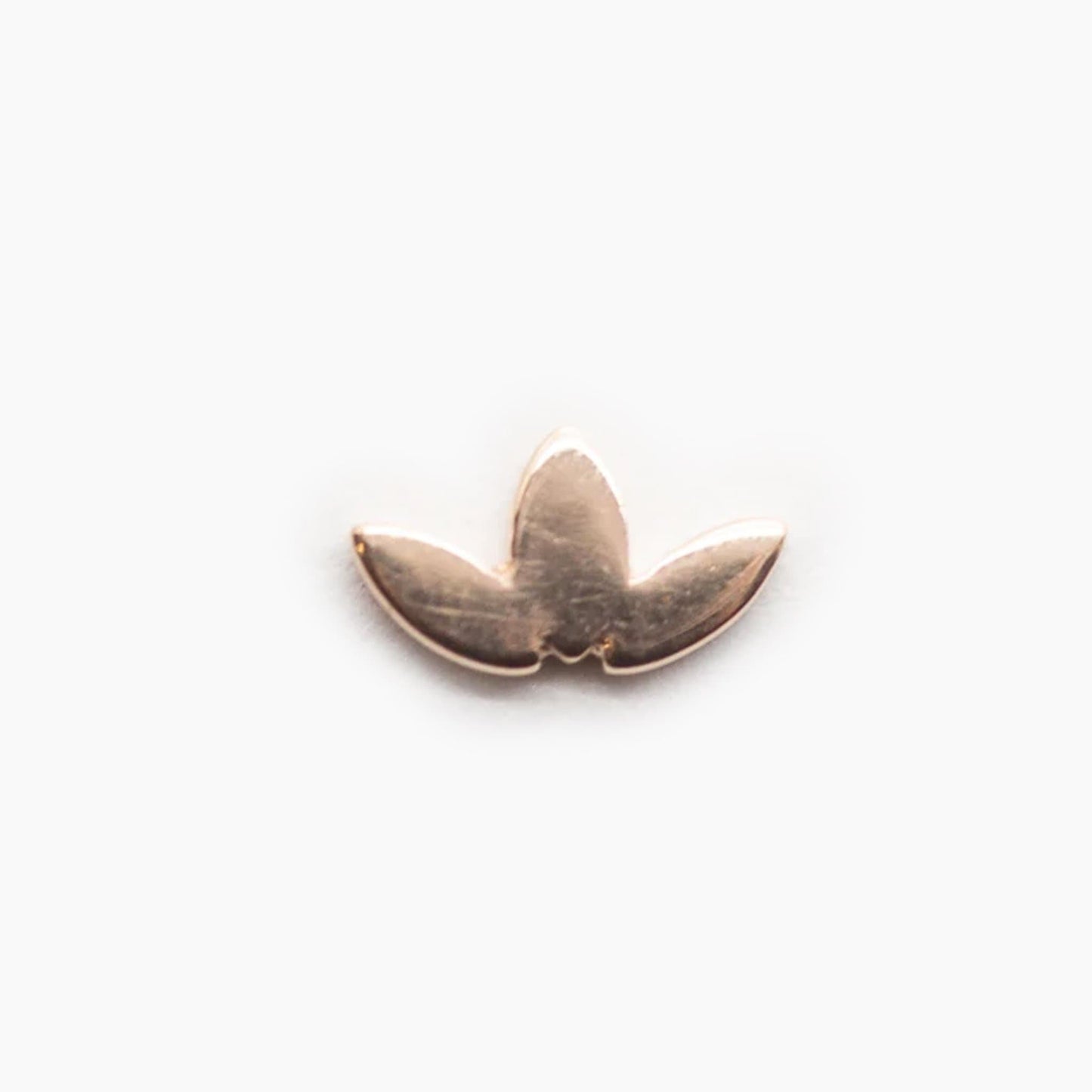 Low-Profile Marquis Fan | 14K Threadless Top For Nose, Ears & Lip - Avanti Body Jewelry