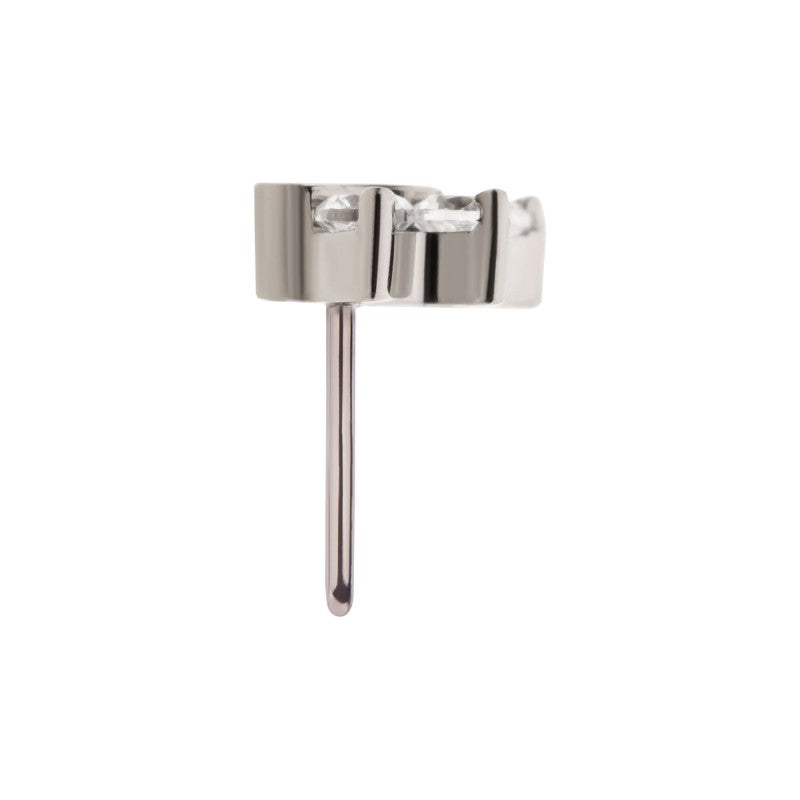 Paw | Titanium Threadless Top For Nose, Ears & Lip - Avanti Body Jewelry